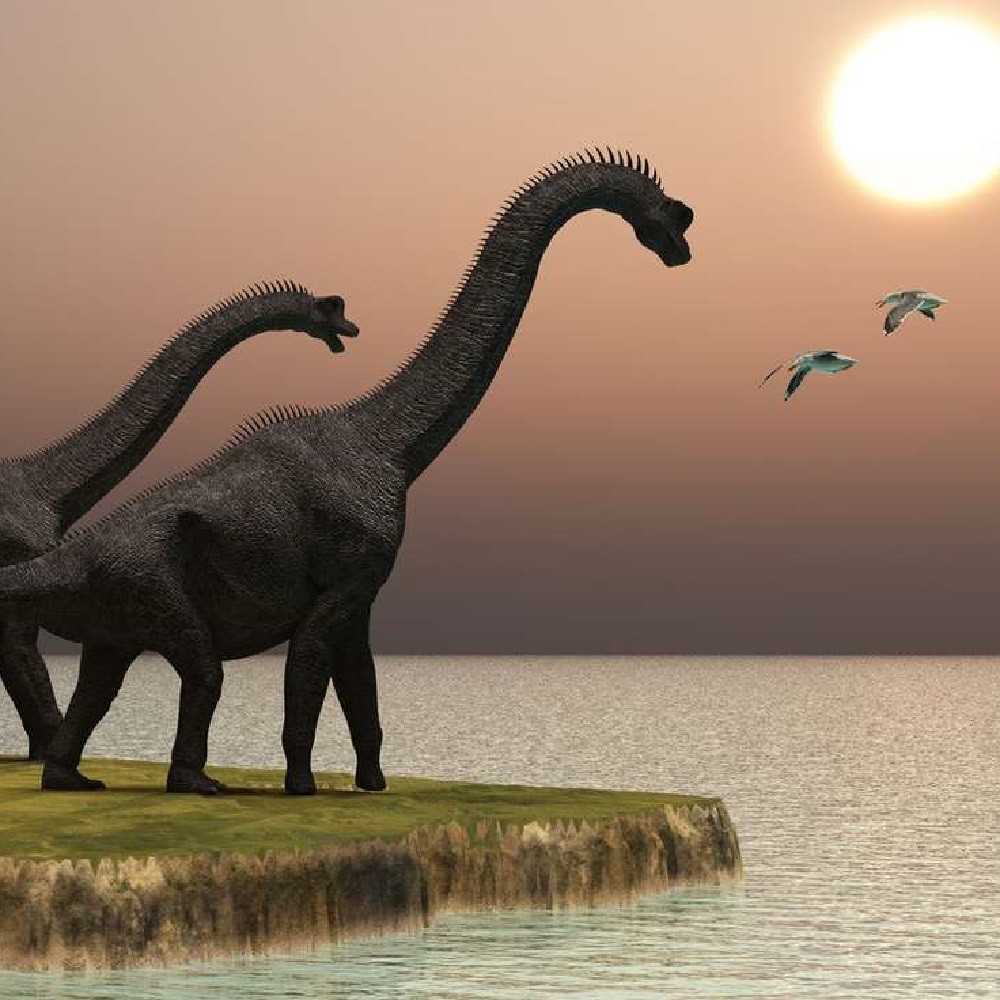 www.jurassica.ch
